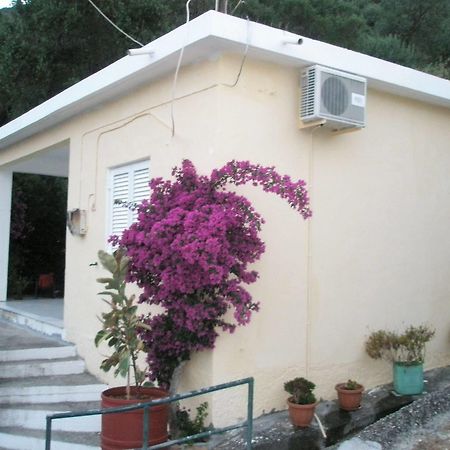 Faliraki Apartments Benitses  Dış mekan fotoğraf