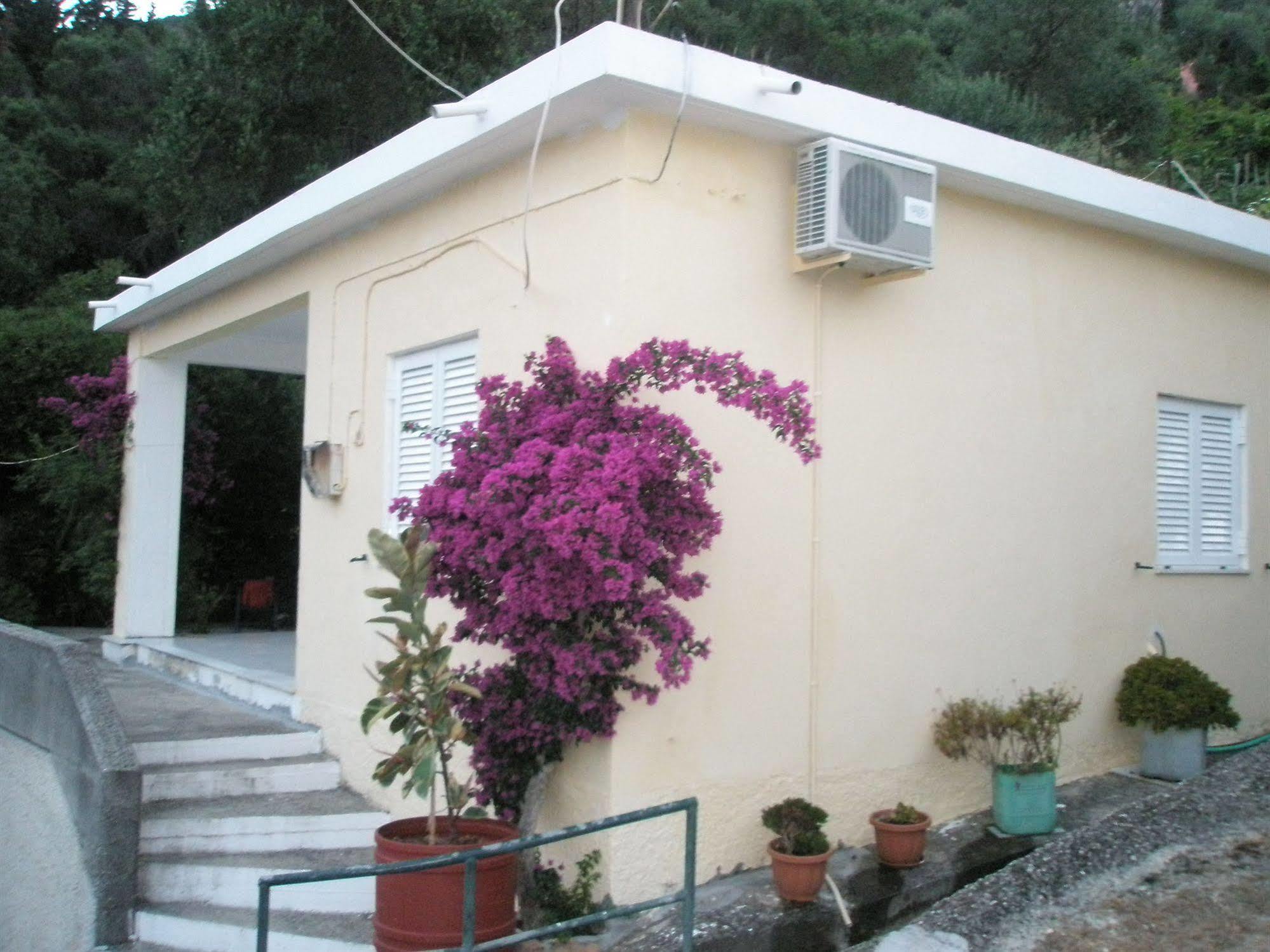 Faliraki Apartments Benitses  Dış mekan fotoğraf