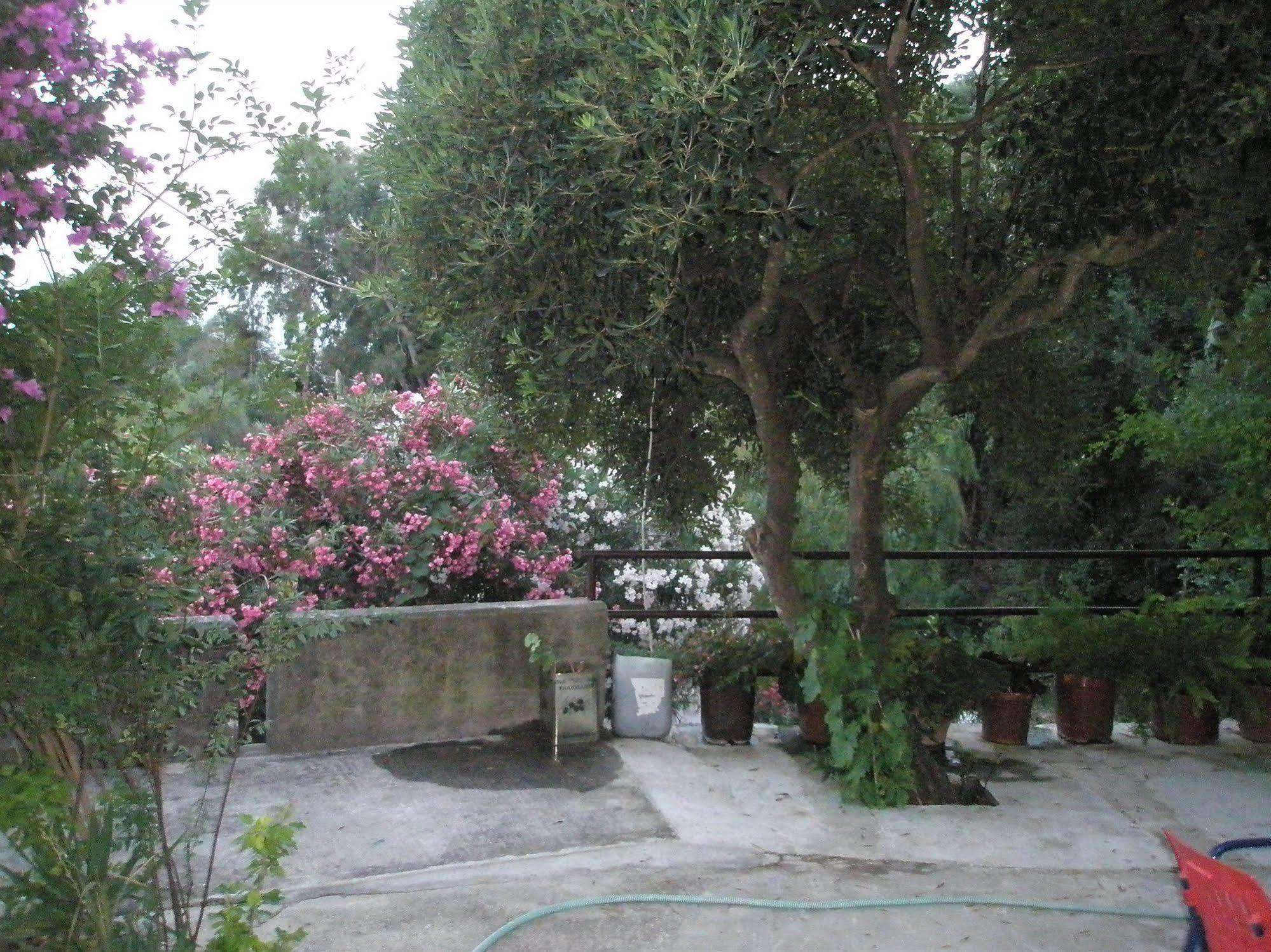 Faliraki Apartments Benitses  Dış mekan fotoğraf
