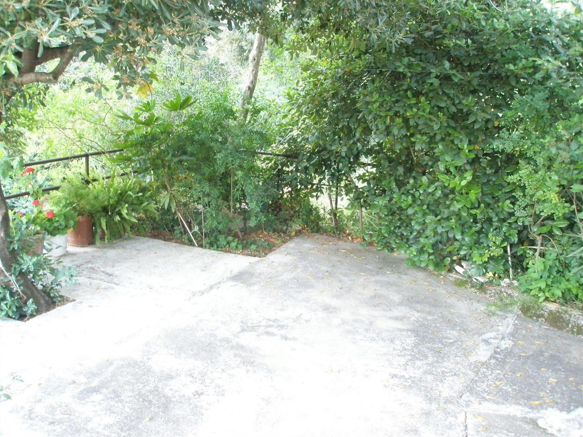 Faliraki Apartments Benitses  Dış mekan fotoğraf