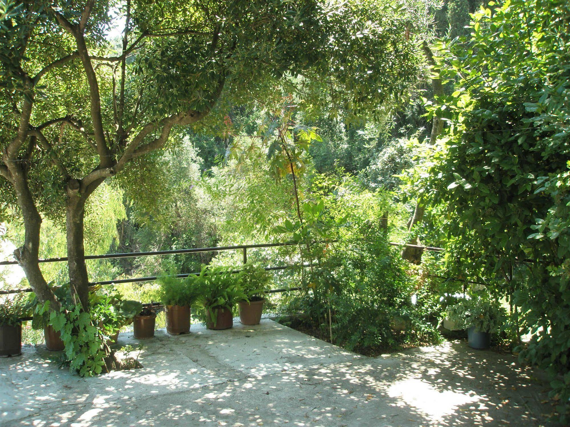 Faliraki Apartments Benitses  Dış mekan fotoğraf